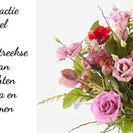 Abc Apartament Blankenberge