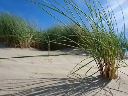 Abc * Blankenberge