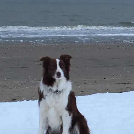 דירה Abc בלנקנברג