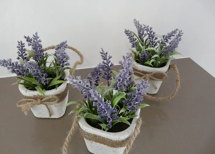 Abc בלנקנברג