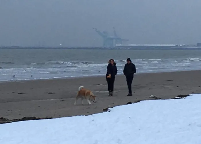 דירה Abc בלנקנברג