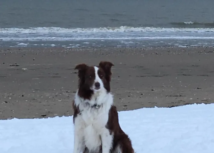 דירה Abc בלנקנברג